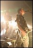 Tanzwut (63).JPG